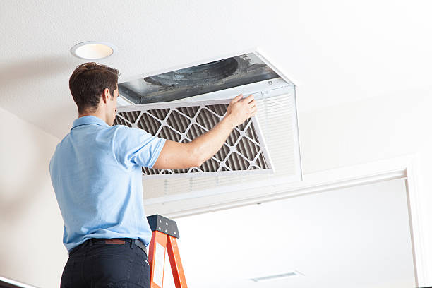 Best Air Quality Test  in Estell Manor, NJ